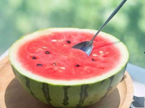 吃瓜官网免费观看,吃瓜官网带你开启无广告观影之旅