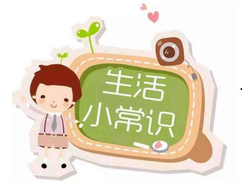 娱乐吃瓜酱每天使用小知识