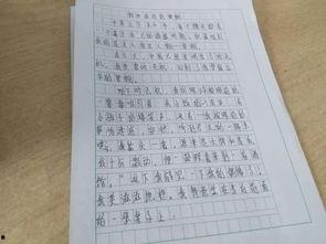 吃瓜大赛作文600字,一场舌尖上的吃瓜大赛